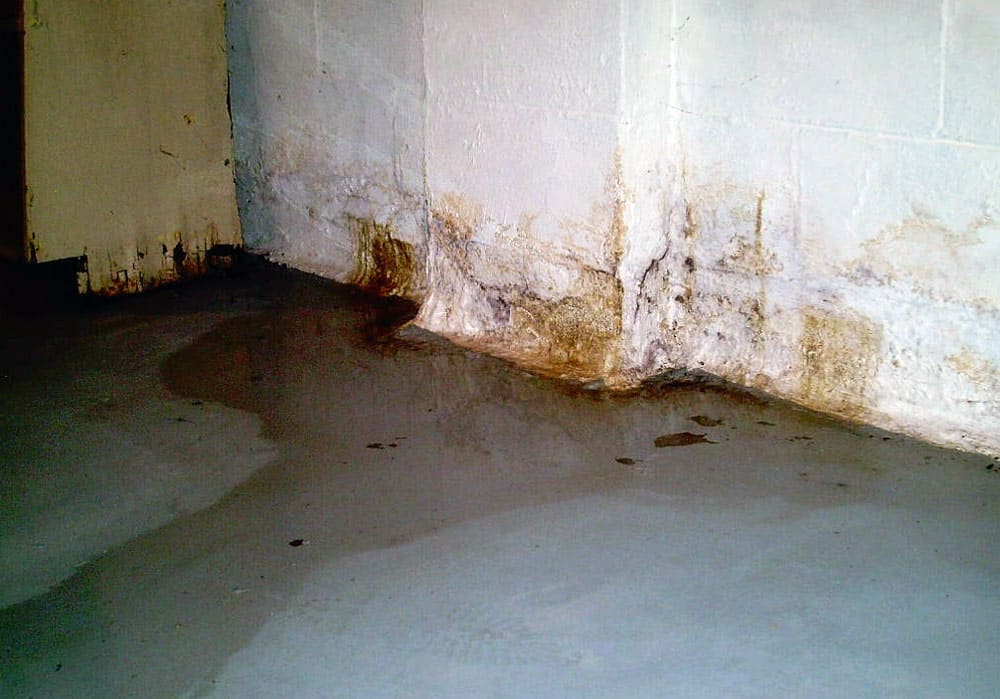 Are You Tired Of A Damp Basement In New Jersey Affordable